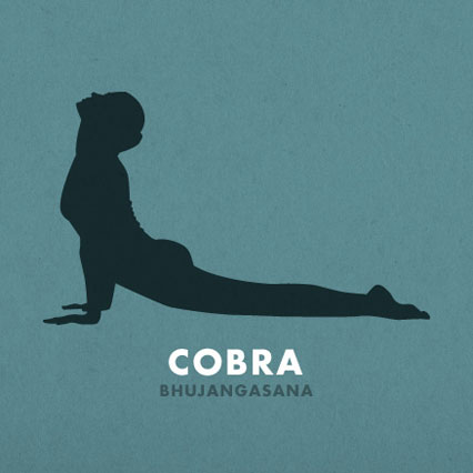 Cobra for for  Digestion: Yoga pose yoga Better Poses kidney